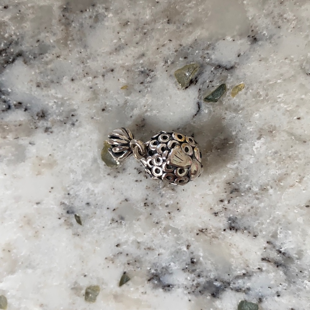 Beautiful Fish Pandora Charm